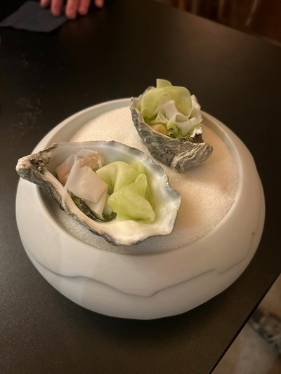 Roannay-Altiore-Janvier 2026 (36)